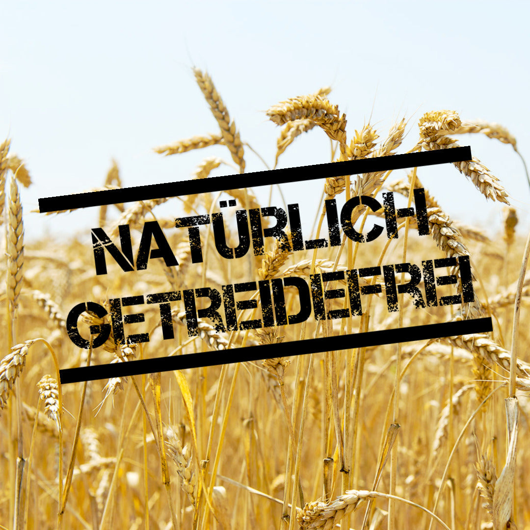 Leitwolf Selected Pferd mit Kartoffeln