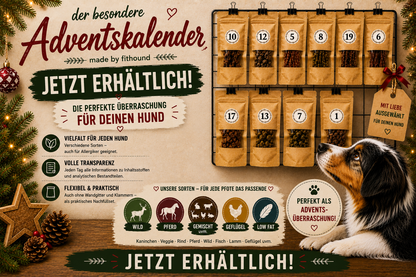 Adventskalender by fithound limitiert