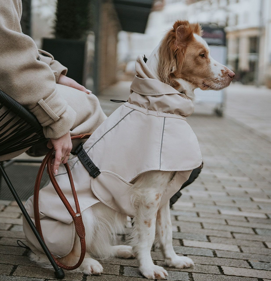 Hundemantel Nordby